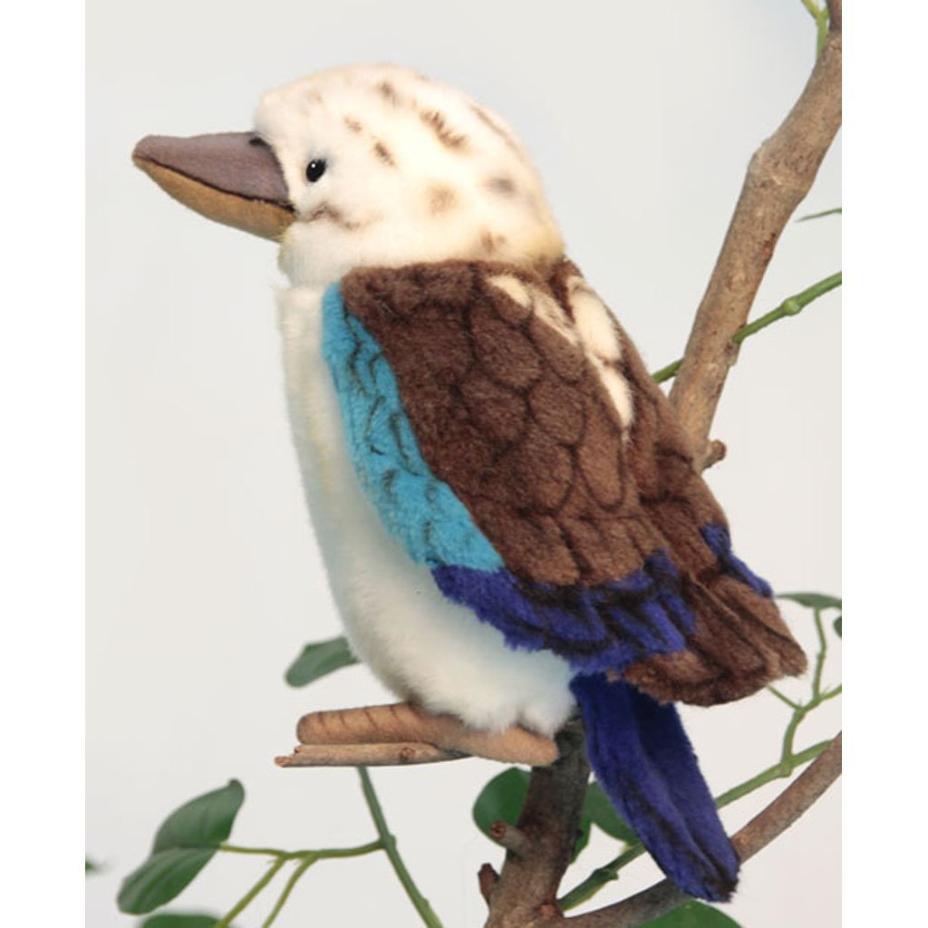 kookaburra teddy