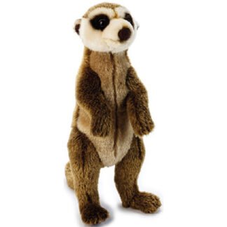 Meerkat [35cm]