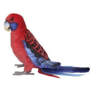 Bird - Crimson Rosella [19cm]